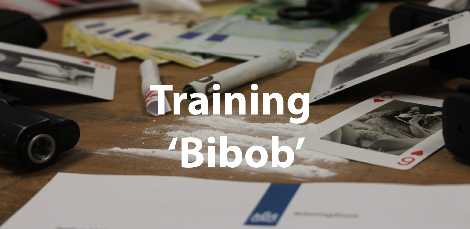 Thumbnail van het Training 'Bibob'